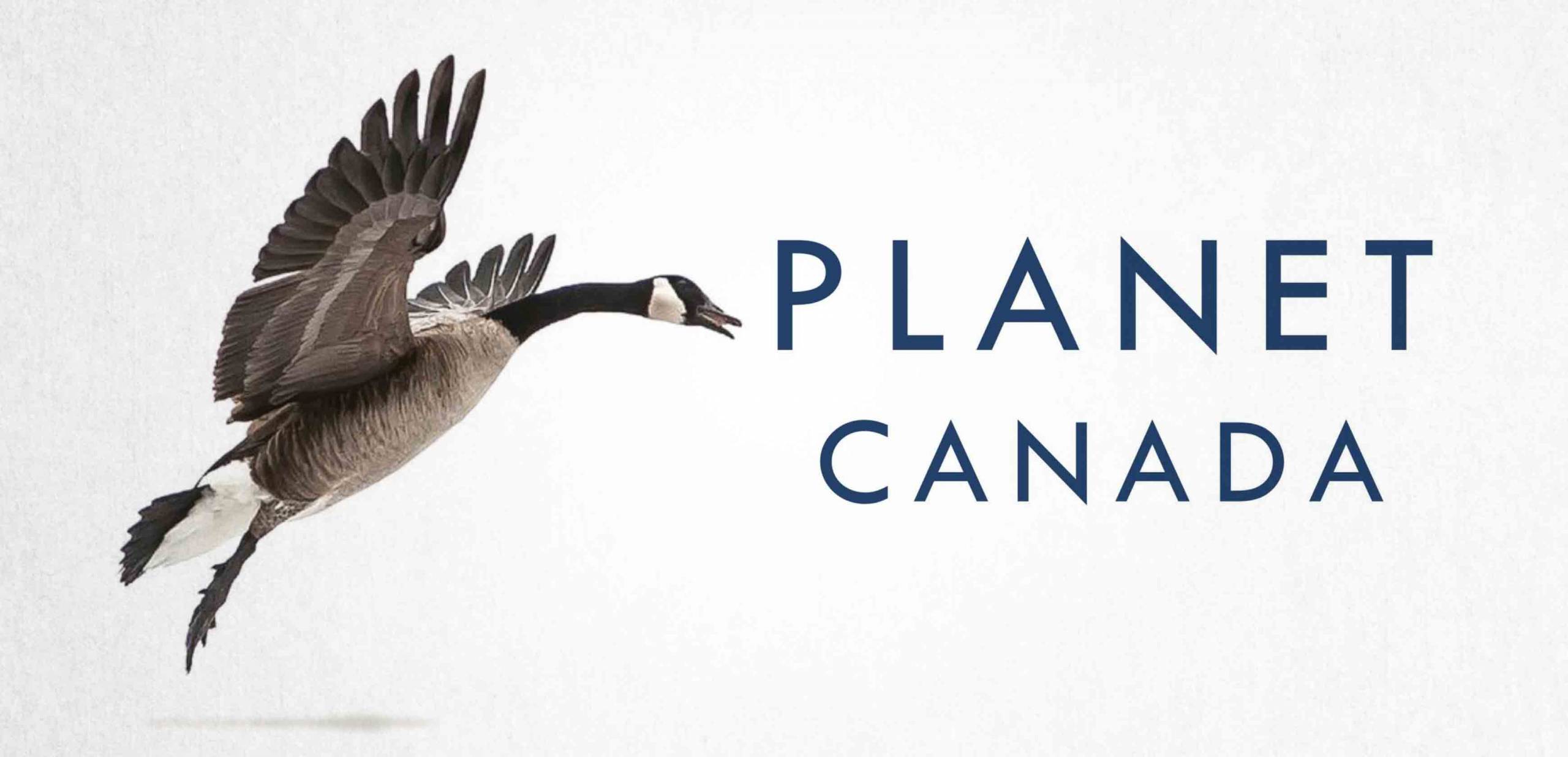 Planet Canada: Why Global Canadians Are Our Greatest Untapped Resource