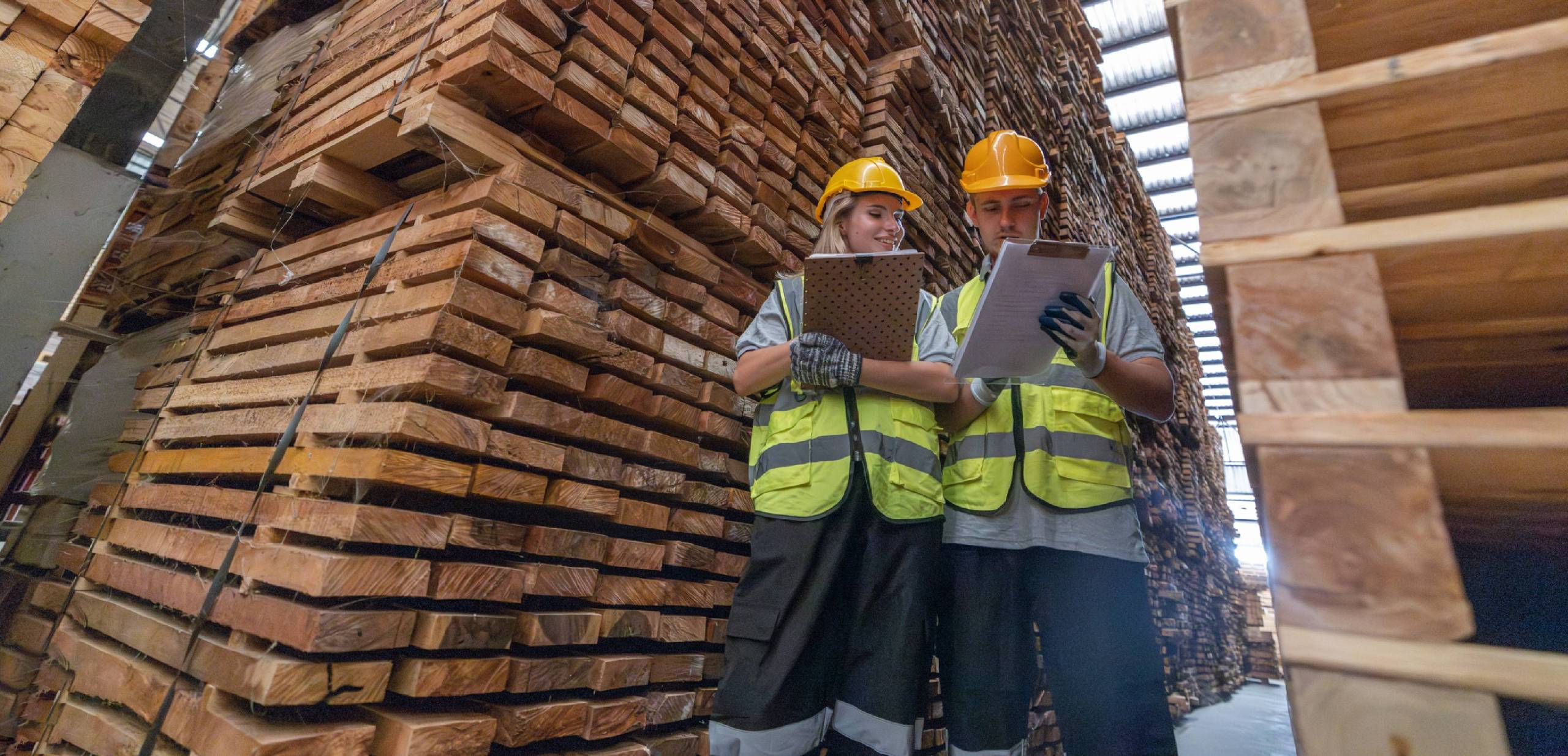 <b>Timber Rising: </b> How Wood Can Spur Canada’s  Green Building Drive