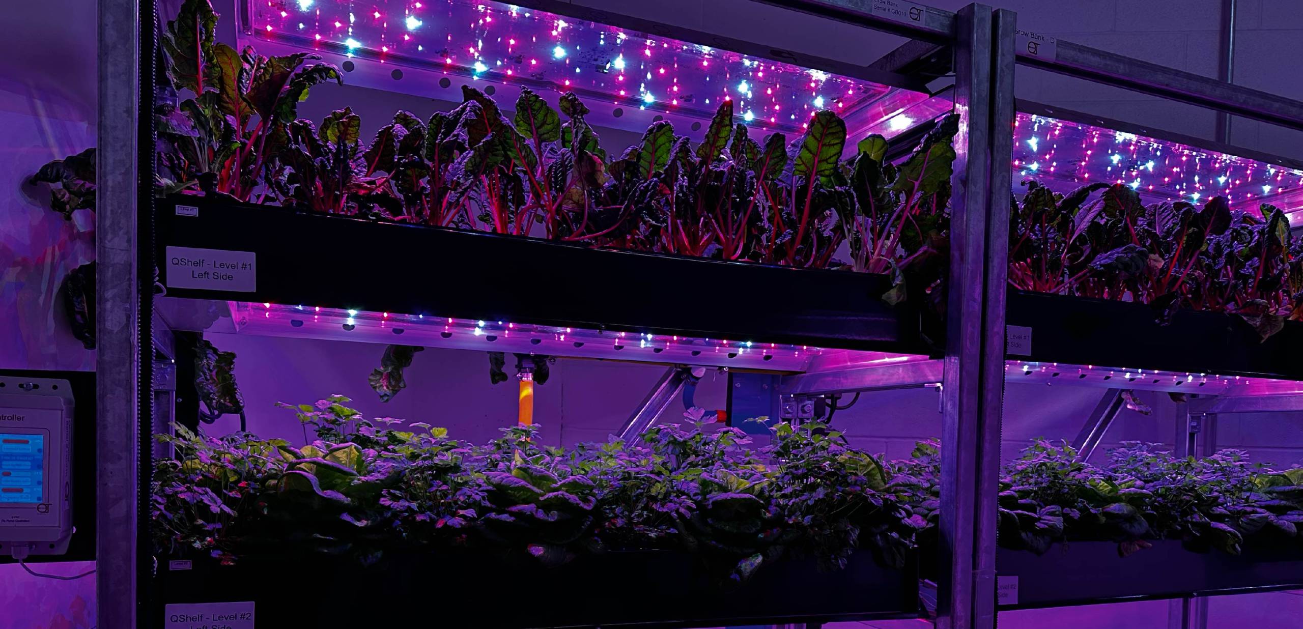 <b>Indoor Vertical Farming</b>: Rising To Meet Local Demand