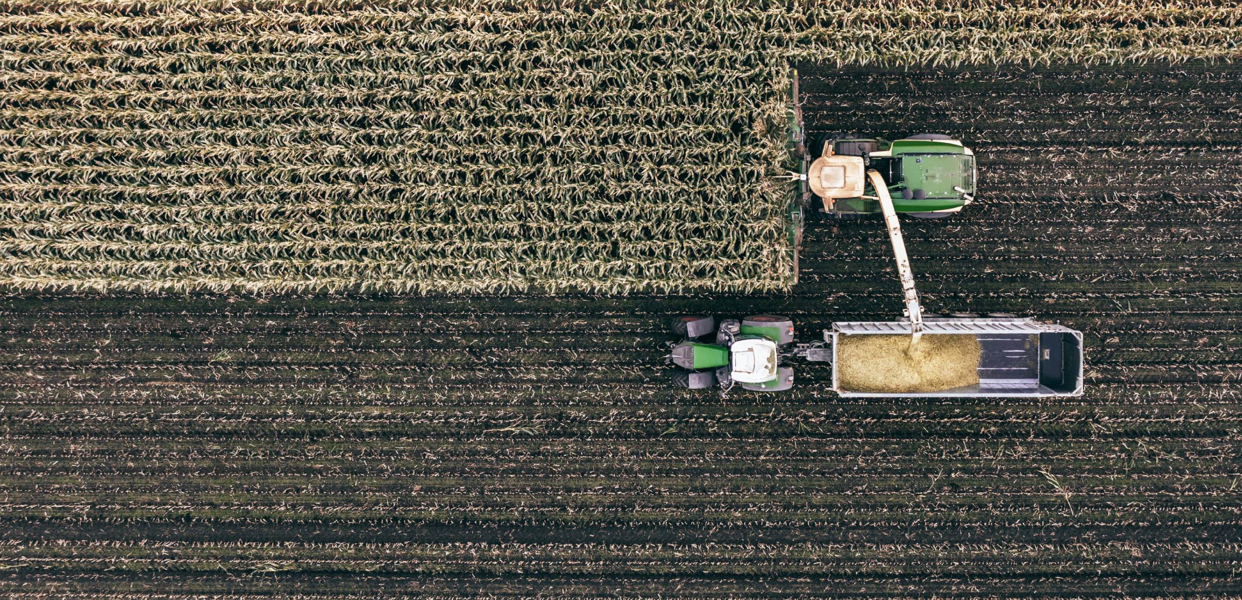 <b>Adapter l’agriculture aux impératifs climatiques : </b> Tracer la voie d’une agriculture à faibles émissions